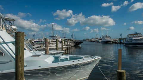 Sport Fishing in Miami