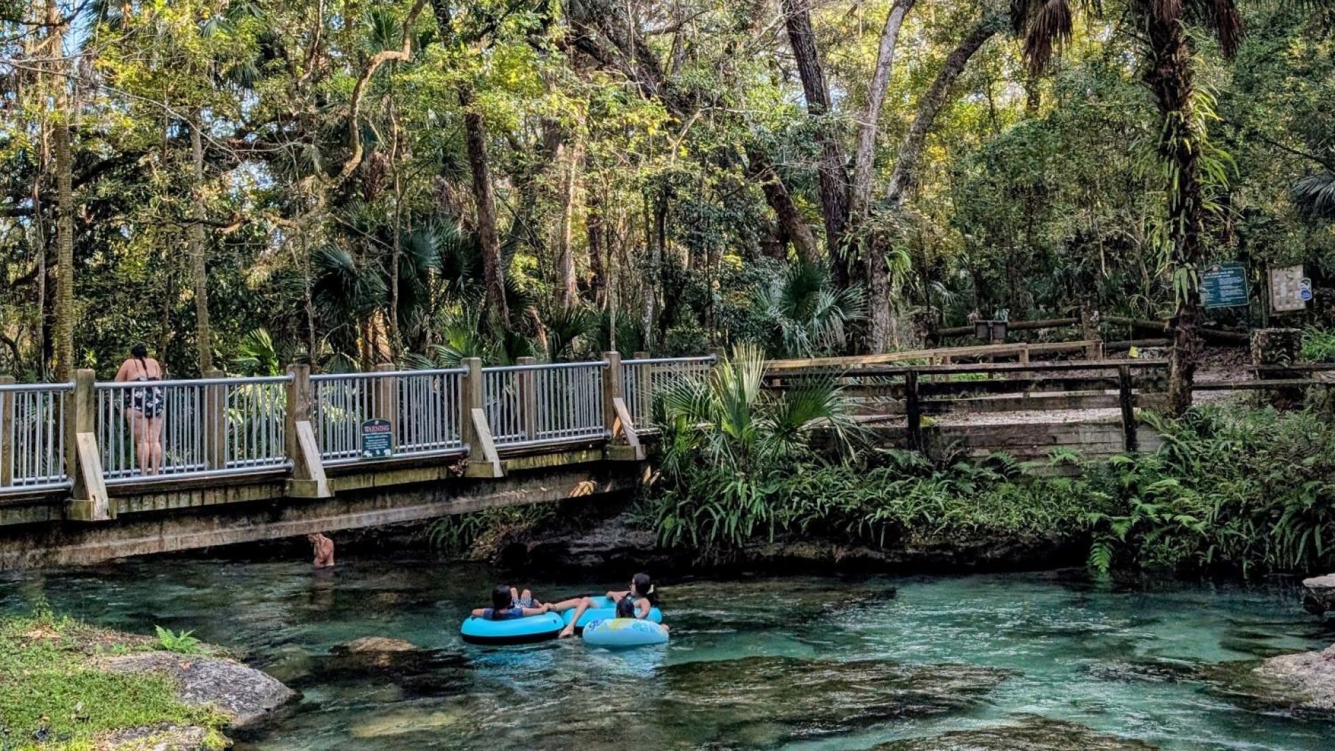 Rock Springs River Tubing & Apopka Wildlife Adventure with Hotel Pickup