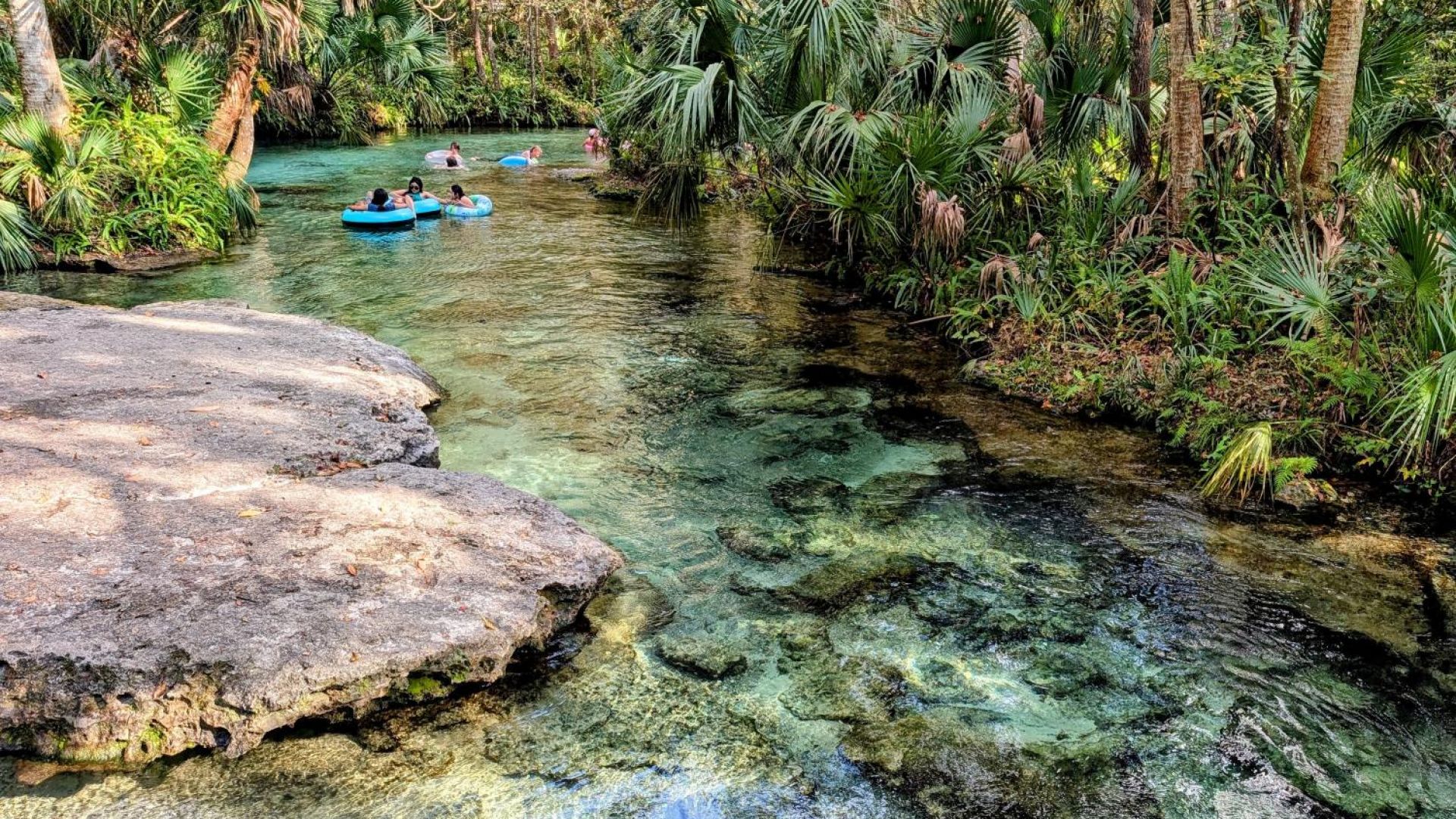 Rock Springs River Tubing & Apopka Wildlife Adventure with Hotel Pickup