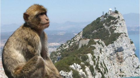 Gibraltar Sightseeing Day Tour From Malaga
