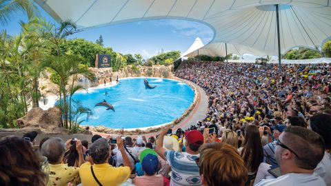 Loro Parque All Inclusive Ticket