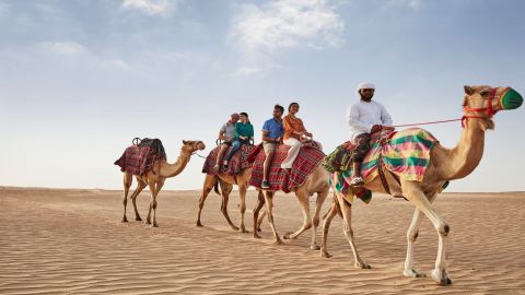 Afternoon Desert Safari