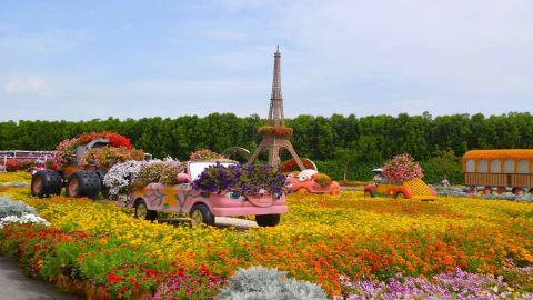 Miracle Garden tickets with Sharing Transfers