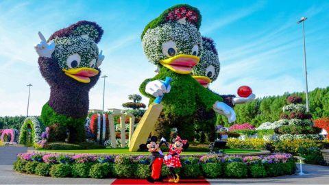 Miracle Garden + Dubai Frame with Sharing Transfers