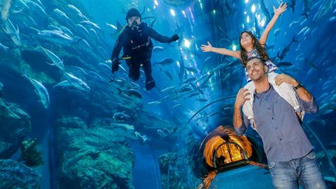 Dubai Aquarium & Underwater Zoo Ticket with Sharing Transfer