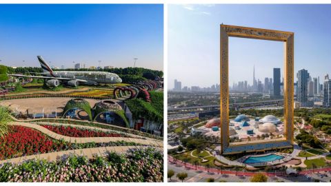 Miracle Garden + Dubai Frame with Sharing Transfers