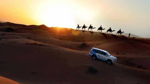 Premium Red Dunes and Camel Safari at Al Marmoom Oasis - Private Vehicle 