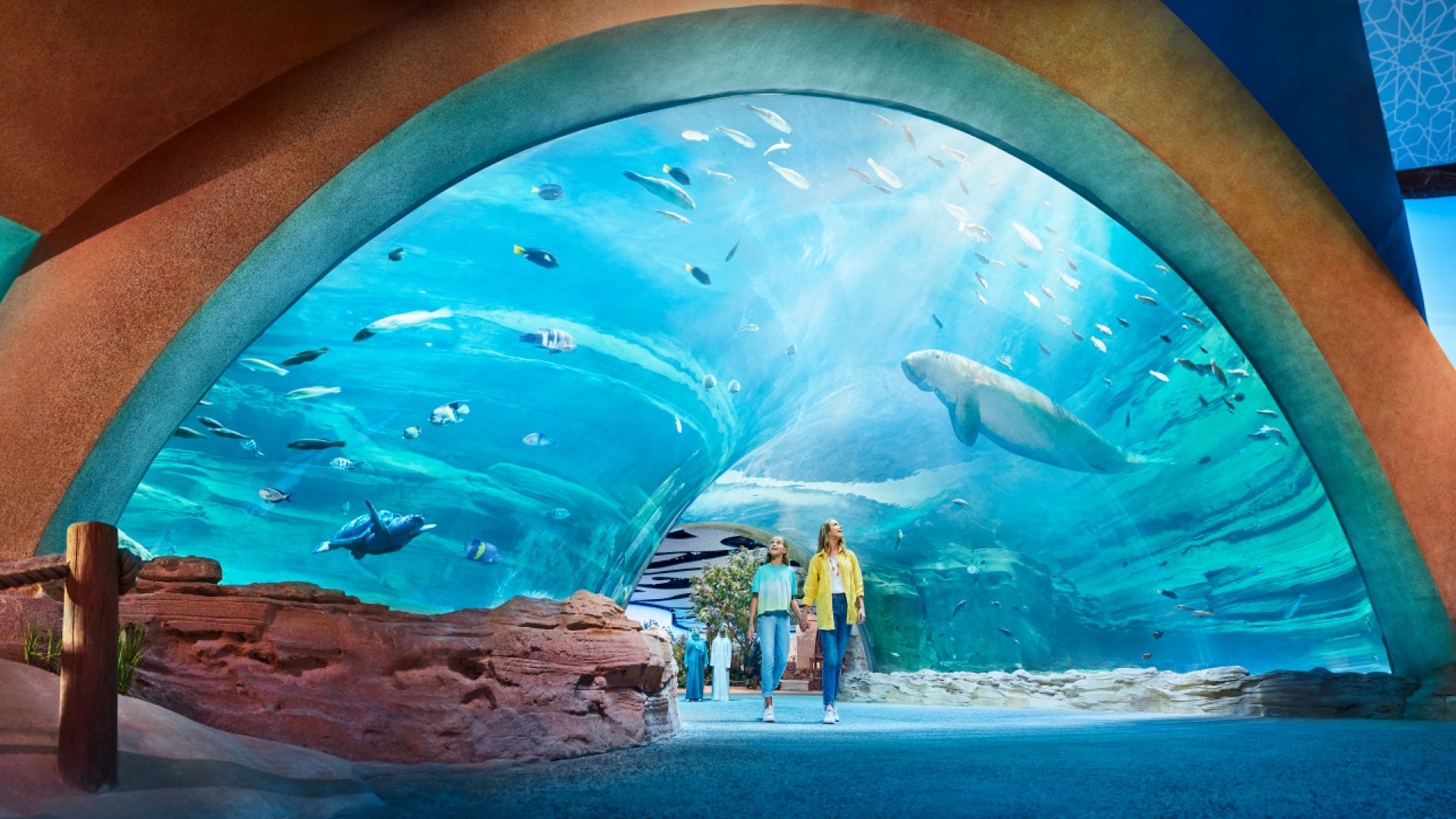 Yas Island Abu Dhabi - 1 Day - Any 2 Parks
