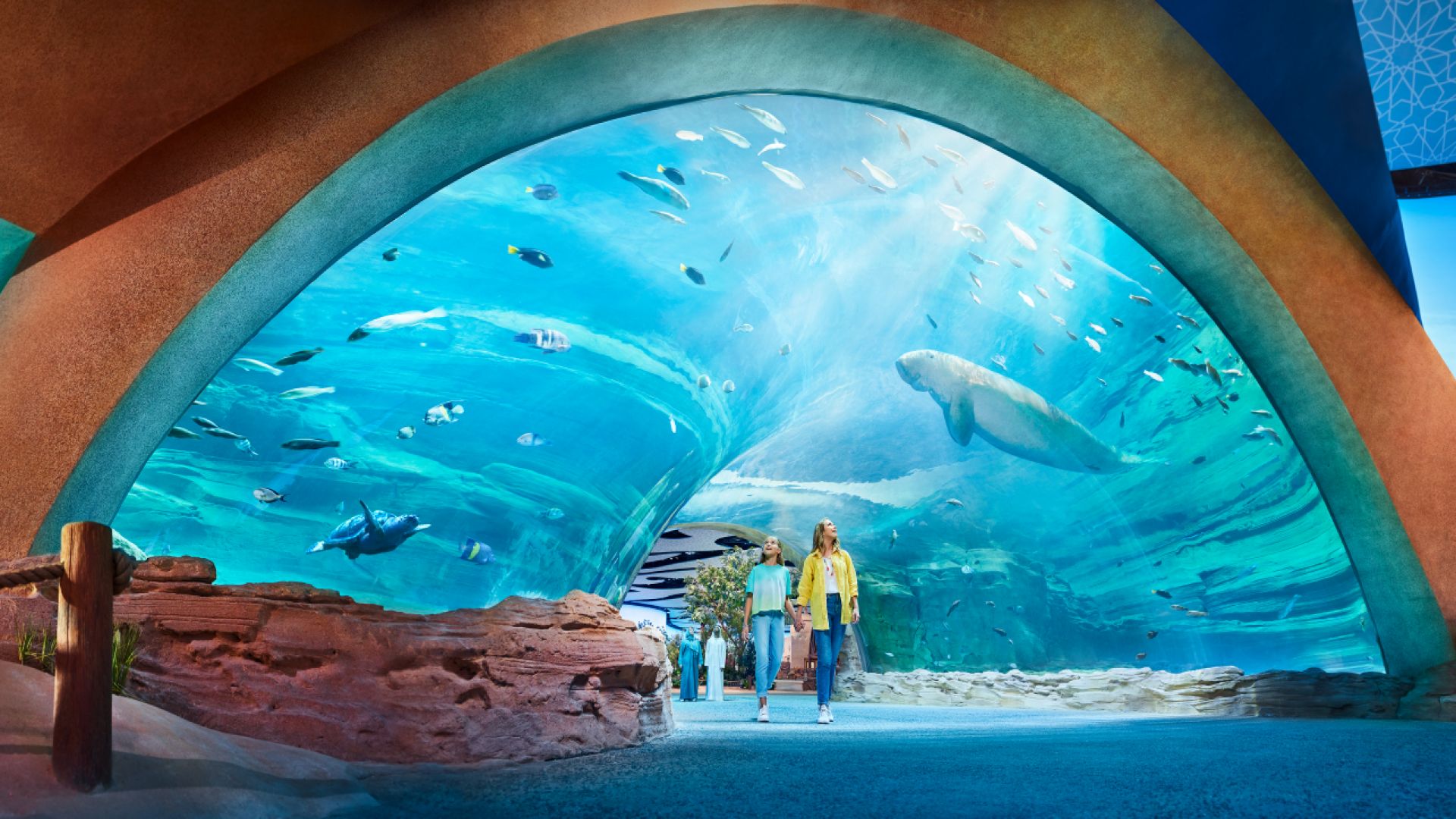 Yas Island  - Multi-Park - Any 4 Parks for Gold Medal - UK Offer