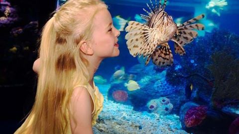 SEA LIFE Manchester Standard Admission