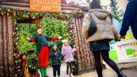 Alton Towers Christmas 1 day ticket Off Peak