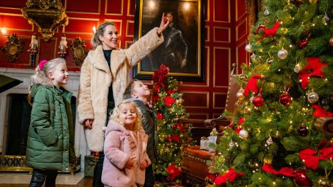 Warwick Castle - Christmas Entry Super Peak