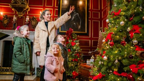 Warwick Castle - Christmas Entry Peak