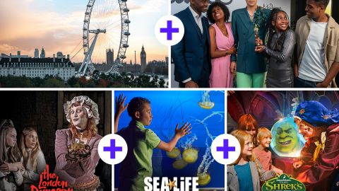 Madame Tussauds London Eye Shrek Adventure SEA Life Centre and London Dunegon Combo NEW
