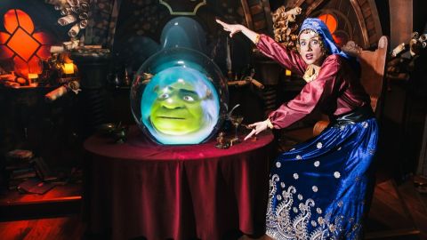 Shrek's Adventure Standard Entry NEW