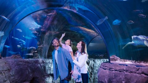 SEA LIFE London