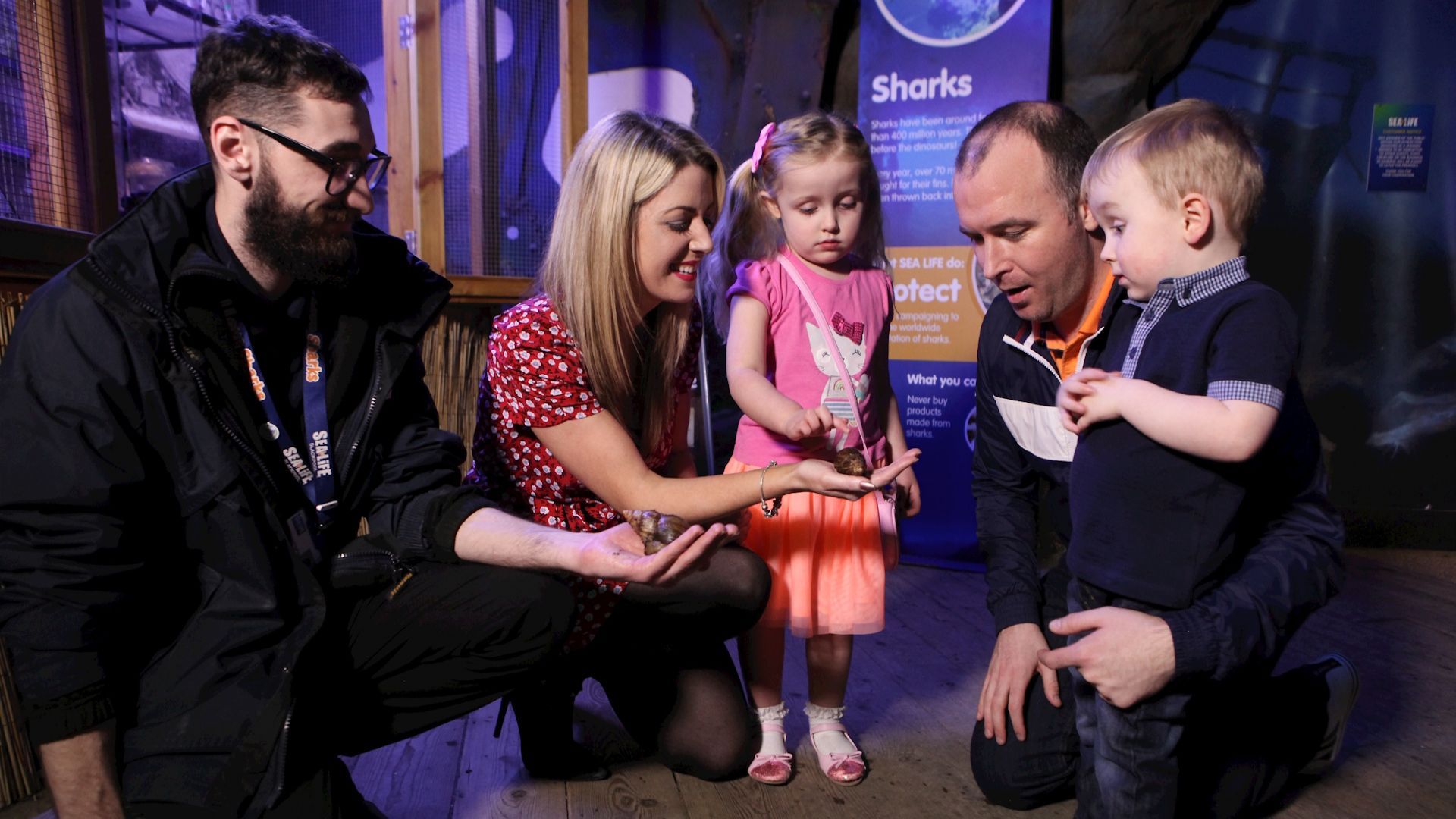 SEA LIFE Centre Blackpool Standard Entry Off Peak