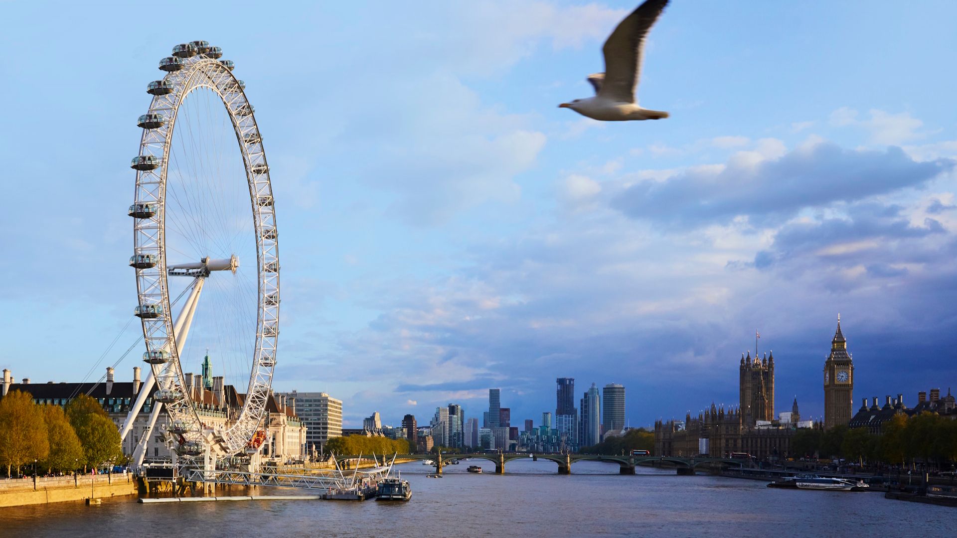 Madame Tussuads and London Eye Fast Track Combo NEW