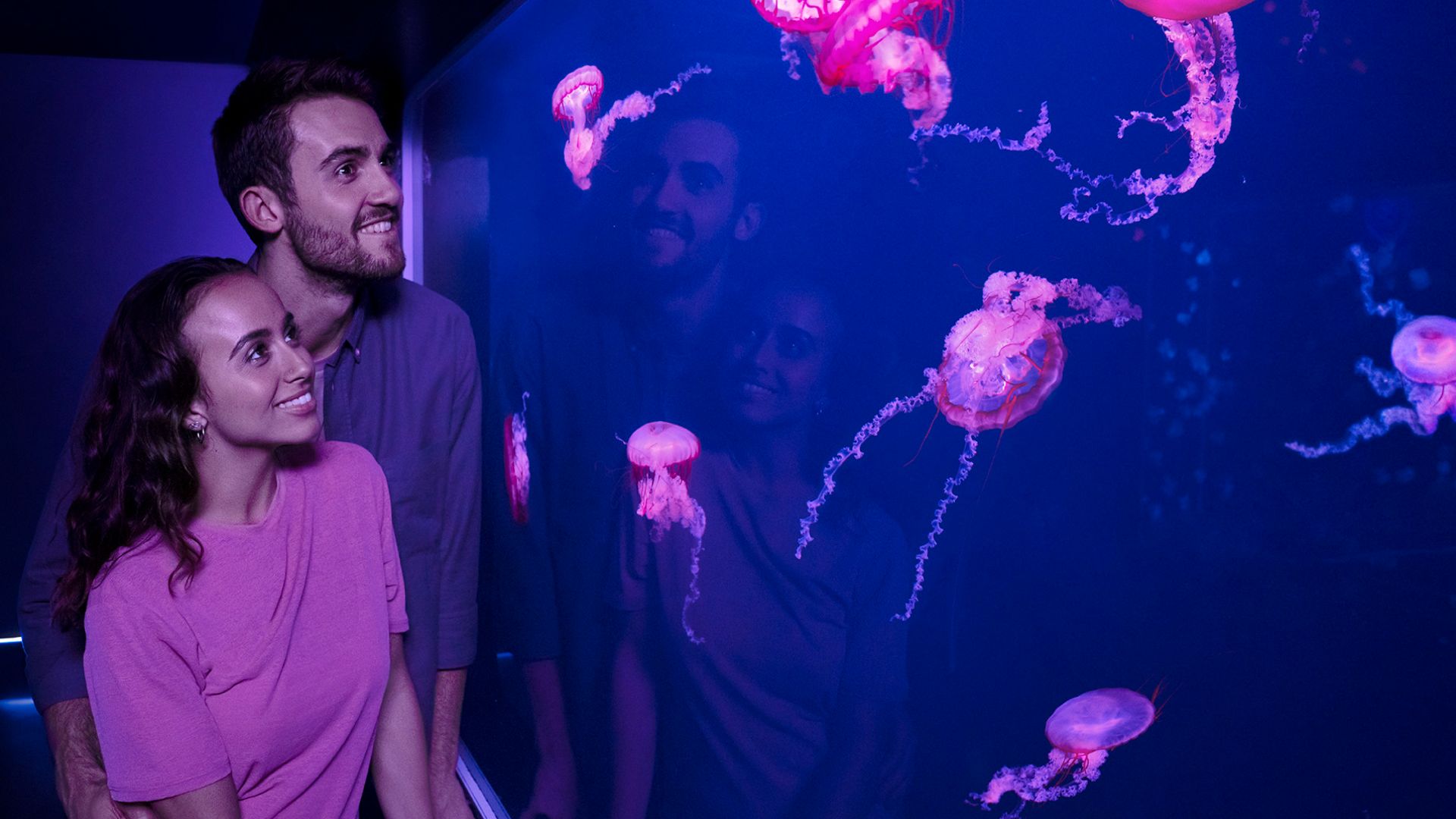Madame Tussauds London Eye Sea Life Combo NEW