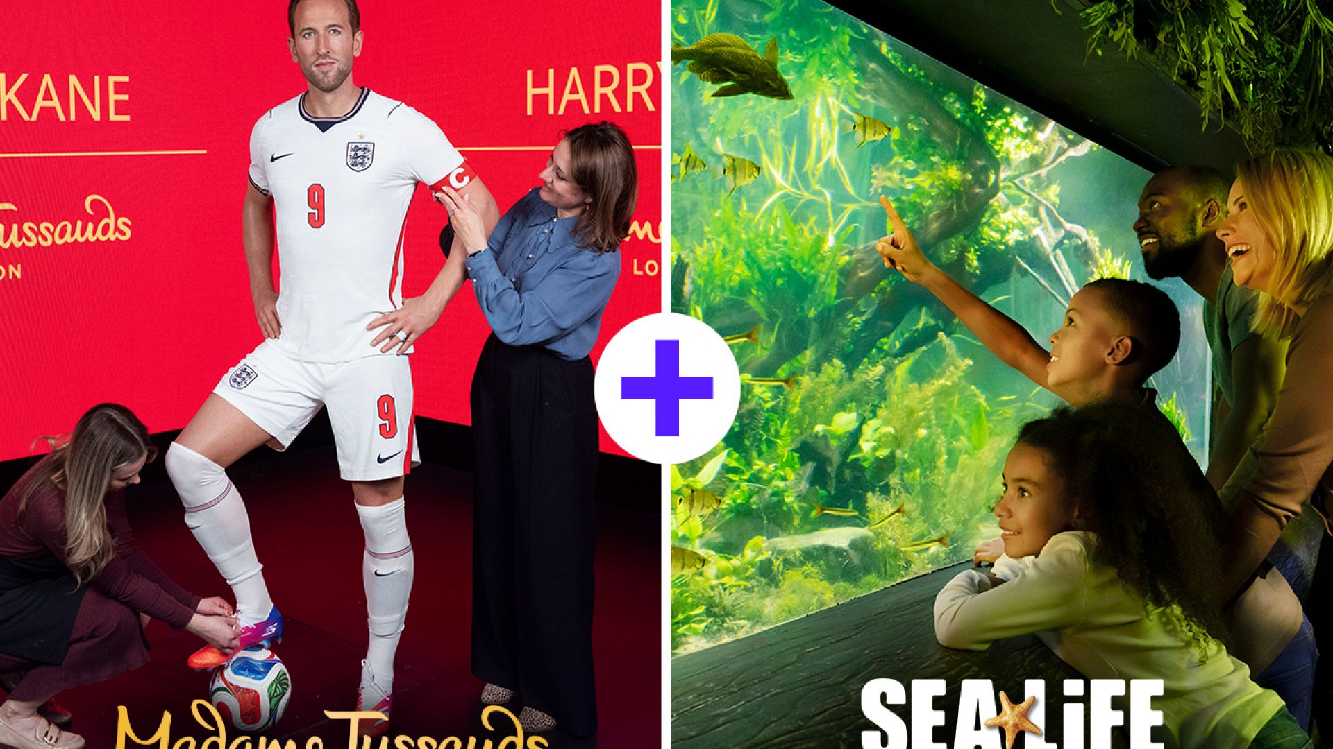 Madame Tussauds and SeaLife London Combo NEW