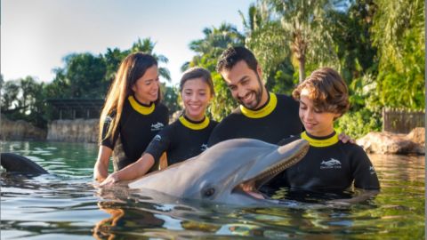 Discovery Cove Package Non-Swim