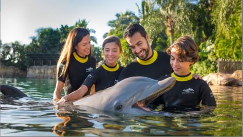 Discovery Cove Package Non-Swim