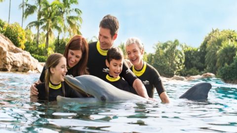 Discovery Cove Ultimate Package Non-Swim