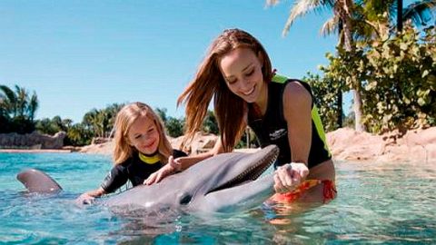 BLACK FRIDAY OFFER Discovery Cove Package Dolphin Swim