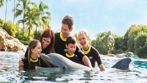 Discovery Cove New Year Offer 25-26 Non Swim Ticket