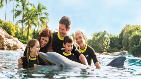 Discovery Cove Ultimate Package New Year Offer 25-26 Dolphin Swim