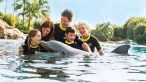 Discovery Cove Non Swim Ticket 2025 - 2026