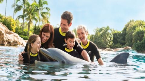 Discovery Cove Non Swim Ticket 2026 Early Booker Offer