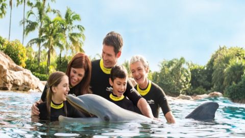 Discovery Cove Ultimate Package Dolphin Swim 2026 Early Booker Offer
