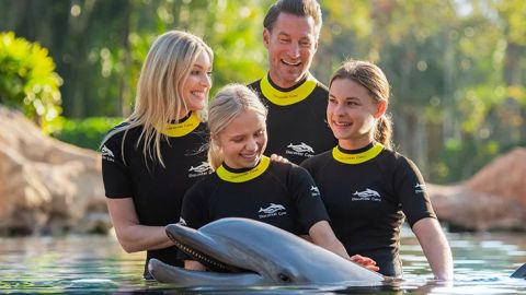 Discovery Cove Ultimate Package Non-Swim 2026 Early Booker Offer