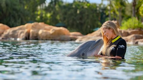 Discovery Cove Day Resort ONLY Swim 2026 Early Booker Offer