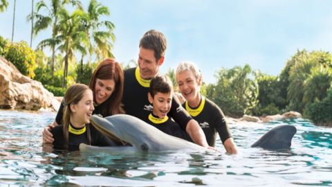 Discovery Cove Day Resort ONLY Non Swim 2025-2026
