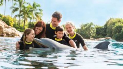 Discovery Cove Day Resort ONLY Non Swim 2025-2026