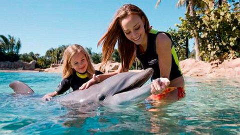 BLACK FRIDAY OFFER Discovery Cove Package Dolphin Swim 25-26