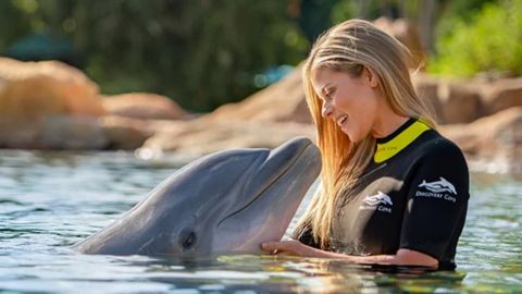 BLACK FRIDAY OFFER Discovery Cove Day Resort ONLY Swim 25-26