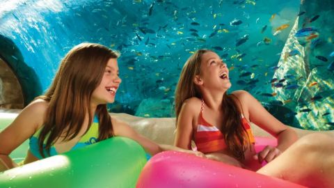 2 visits SeaWorld & Aquatica plus dine BF Offer