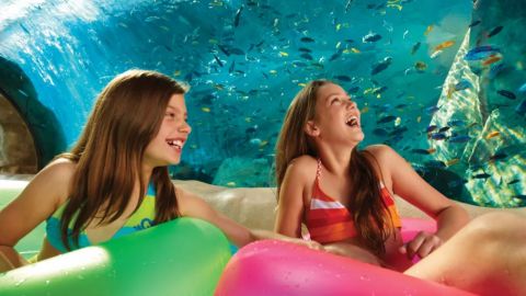 2 visits SeaWorld & Busch Gardens plus dine BF Offer