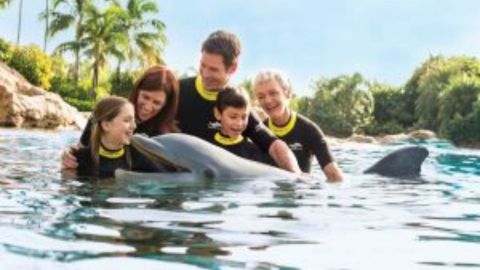 Discovery Cove Package Dolphin Non Swim 2026-2027