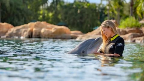 Discovery Cove Day Resort ONLY Swim 2026-2027