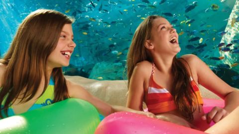 14 Day SeaWorld, Aquatica & Busch Gardens Ticket