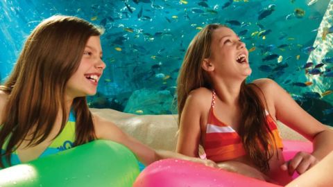 2 visits SeaWorld & Busch Gardens plus dine