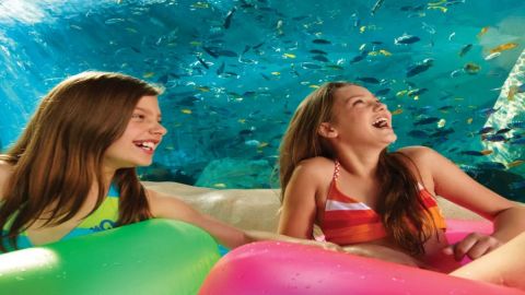 3 visits SeaWorld, Aquatica & Busch Gardens plus dine