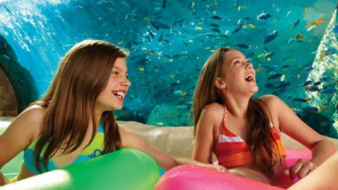 SeaWorld Parks Single Visit You Choose Ticket + All Day Dining Deal 2026