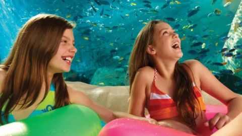 2 visits SeaWorld & Busch Gardens plus dine