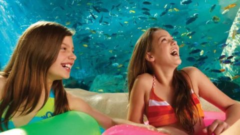 14 Day SeaWorld, Aquatica & Busch Gardens Ticket plus dine