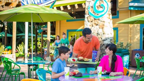 Aquatica Orlando Single Day Ticket 2026